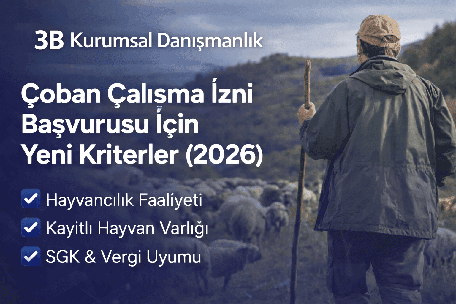 Çoban Çalışma İzni Başvurusu İçin Yeni Kriterler (2026)